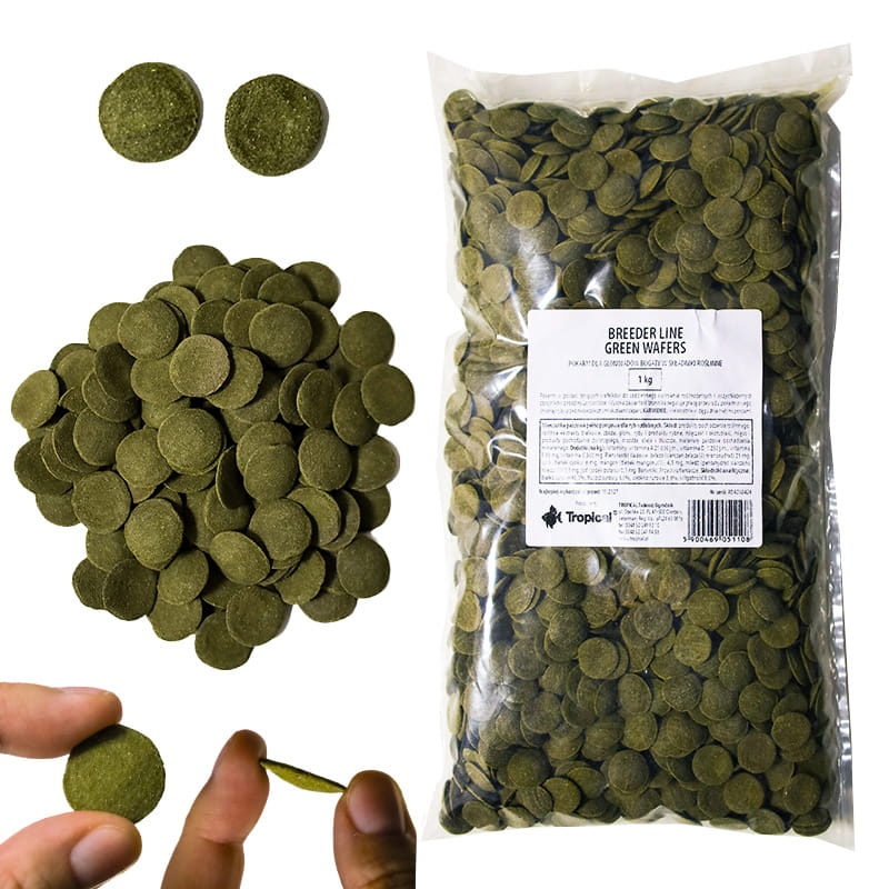 Green alge Pierwszy.jpg